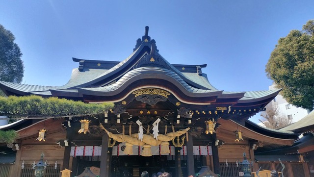 IMG20260321114912