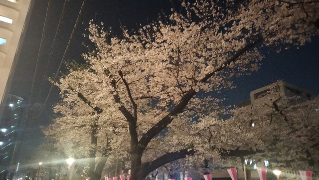 IMG20260402214130