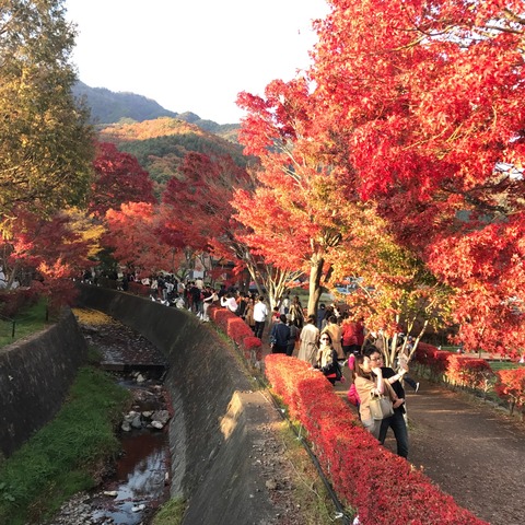 IMG_2343