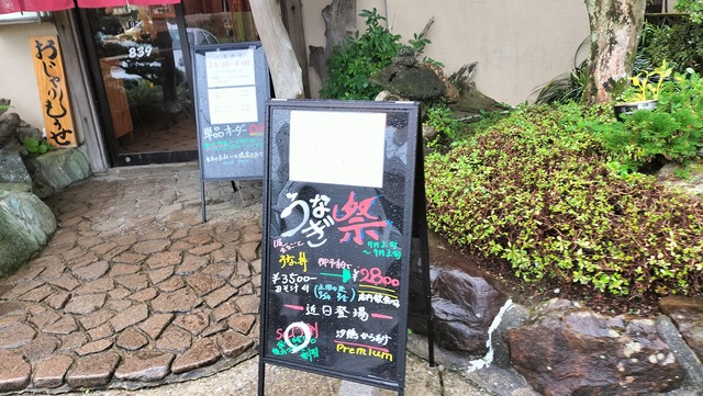 IMG20240628164806