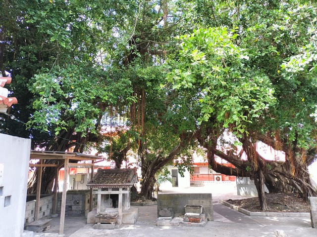 IMG20230924123354