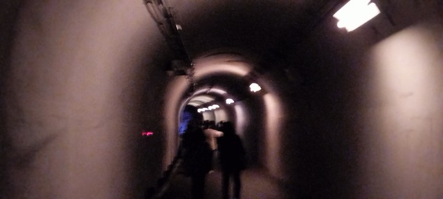 IMG20240504142041