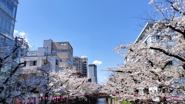 IMG20250404124517