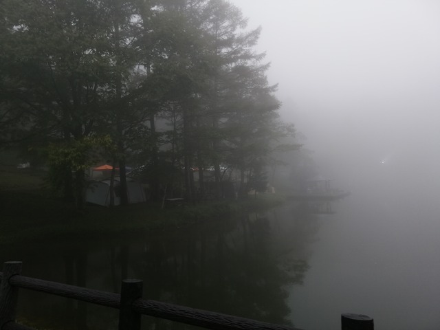 IMG_20200926_111353