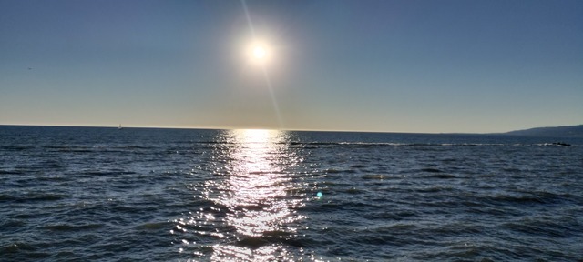 IMG20240210163631