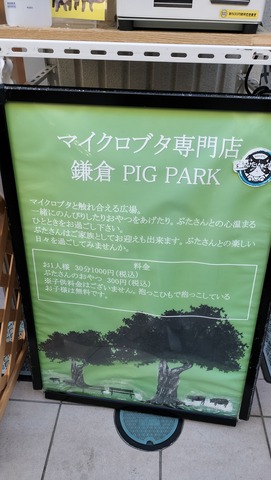 IMG20250309161830