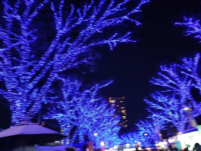 IMG20231223181339