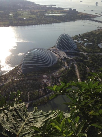 10353622_828450900498721_558346340126072205_n