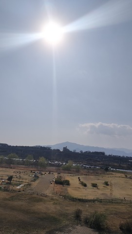 IMG20250323144445