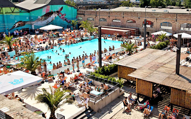 BERLIN1015-haubentaucher