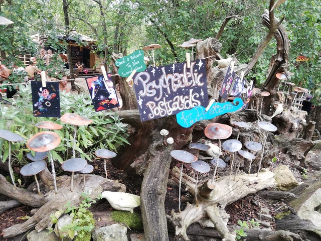 IMG_20190731_125333_1