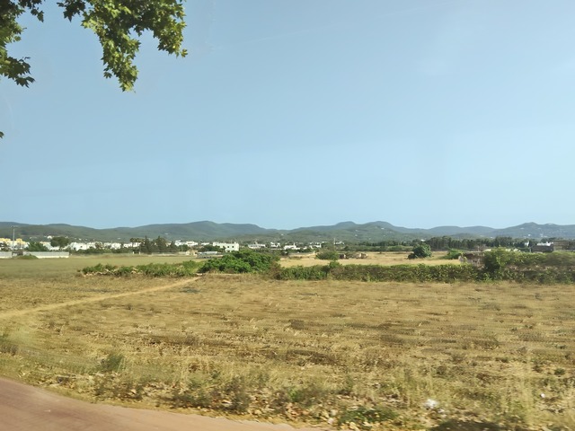 IMG20260714180424