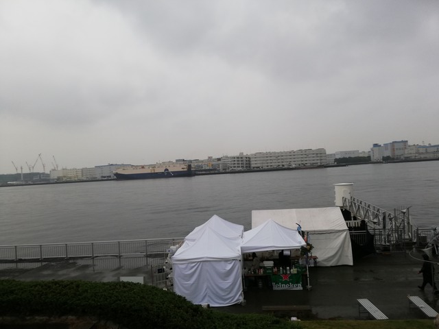 IMG_20220424_162612
