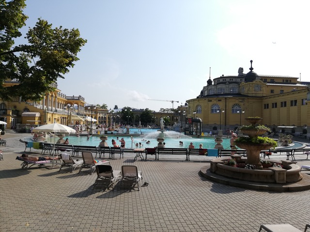 IMG_20190728_092428