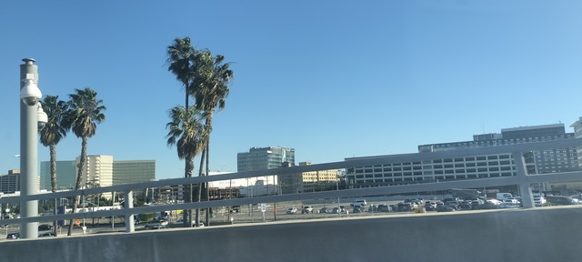 IMG20240210154214