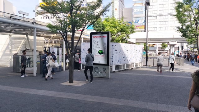 IMG20240608153037