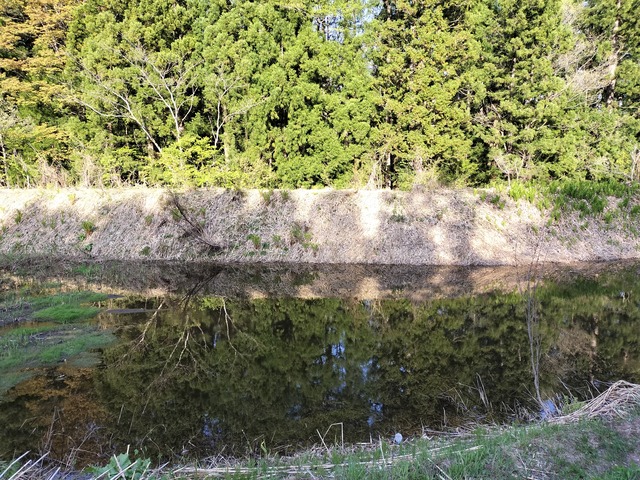 IMG20230504162234