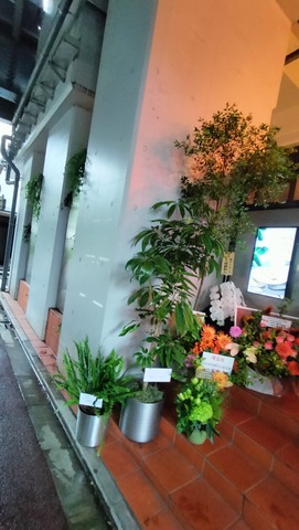 IMG20250531161532