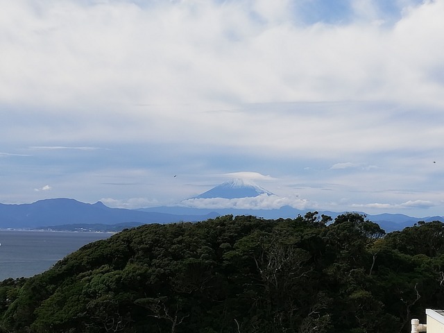 IMG_20201018_120316