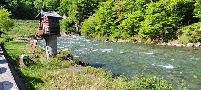IMG20240504140555