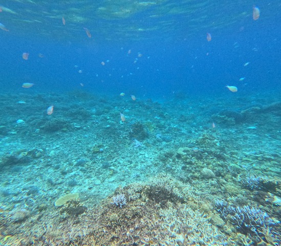 GOPR0022