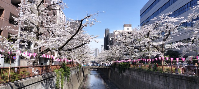 IMG20240407150203_01