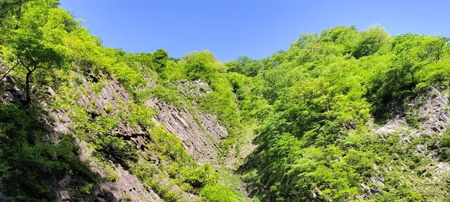 IMG20240504142425