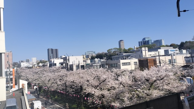 IMG20260403091746