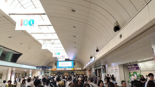 IMG20240608152856