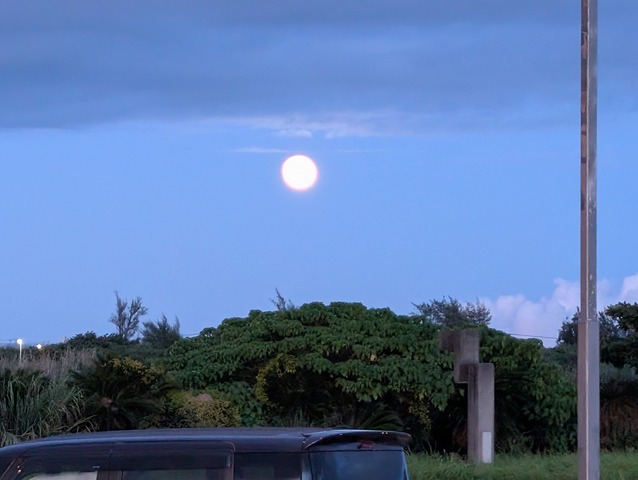 PXL_20250907_100241196