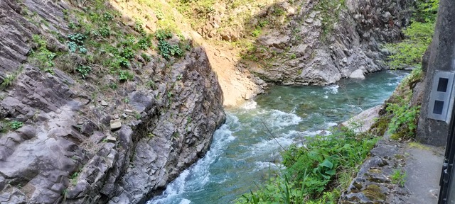 IMG20240504142418