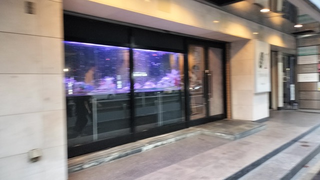 IMG20240811183524