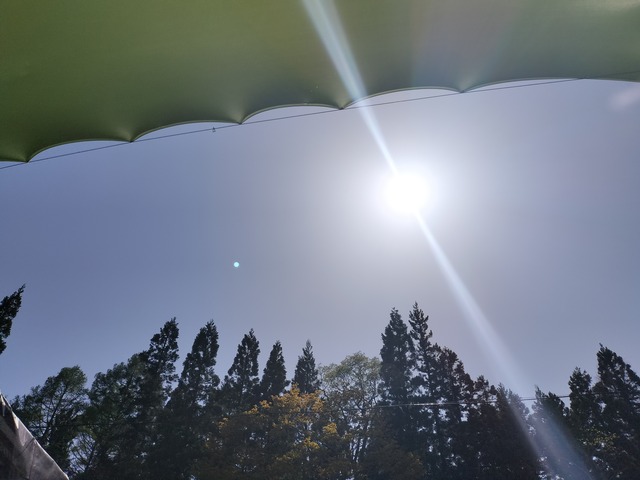IMG20230504140707