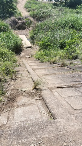 IMG20260505135613