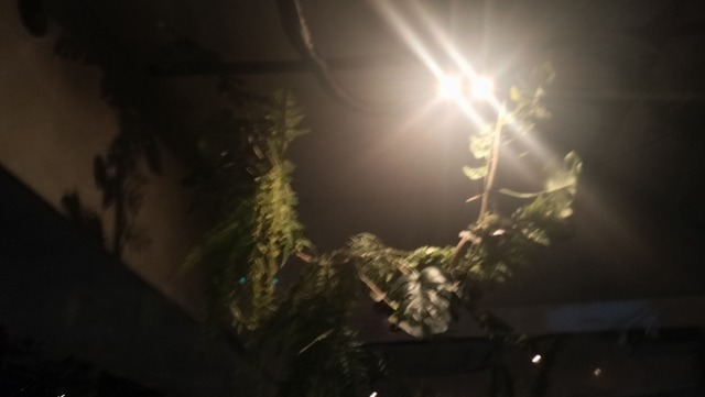 IMG20260513222321