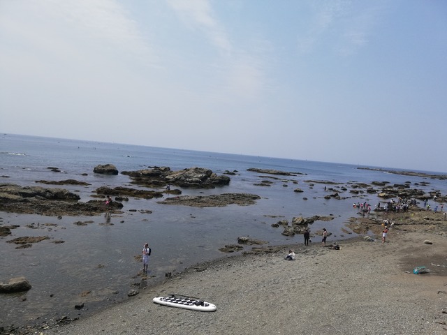 IMG_20210530_112934_1