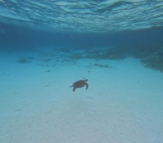 GOPR0047