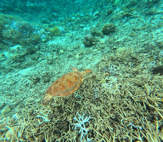 GOPR0015