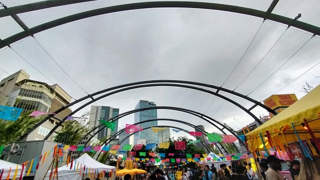 IMG20250510171411