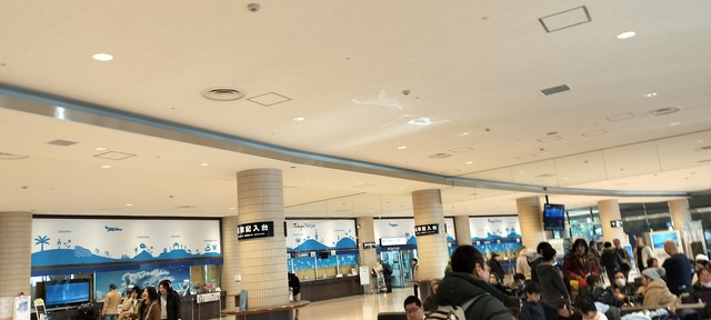 IMG20240303143554