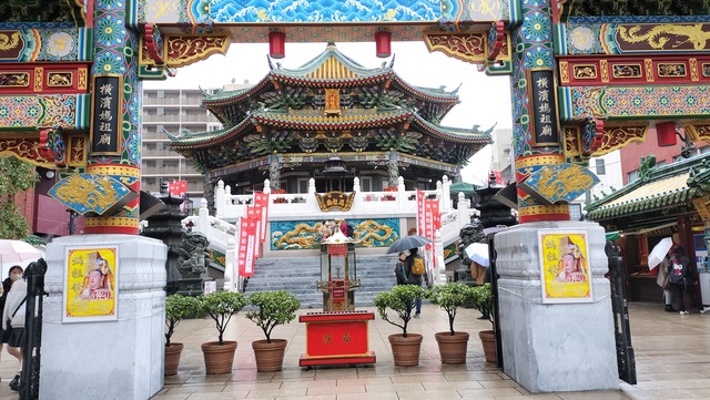 IMG20250316143149