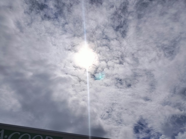 IMG20230922150245