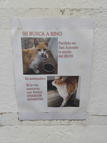 IMG20260717093505