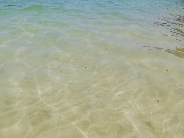 IMG_20210829_112342_1