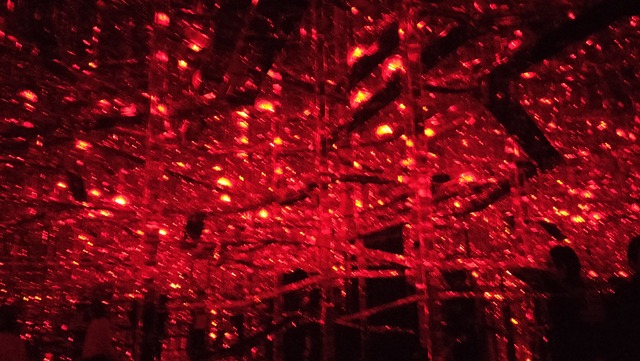 IMG20260213190808