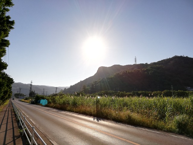 IMG_20201122_084002_1