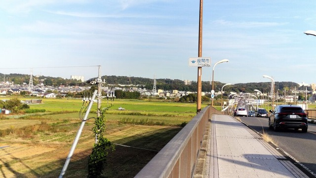 IMG20241117151252
