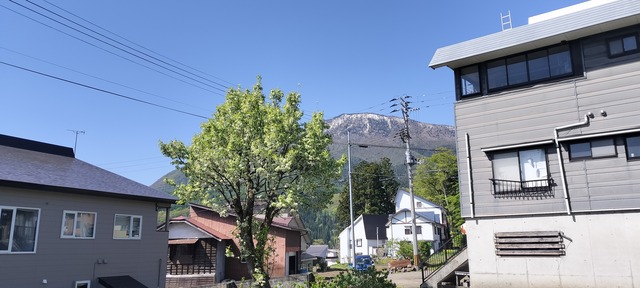 IMG20240504090541
