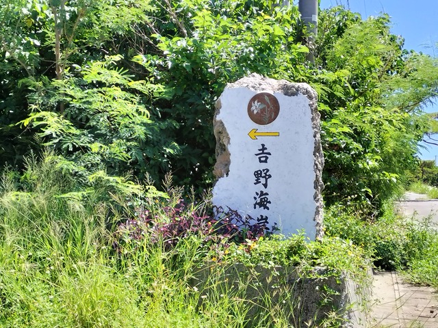 IMG20230923123001