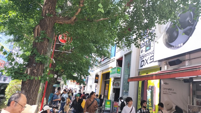 IMG20250607142810